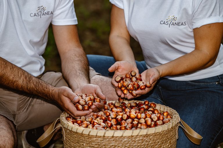 Les bienfaits de la noisette