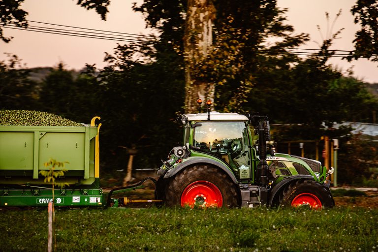 Castaneas au travail