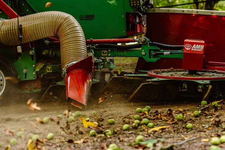 Castaneas au travail