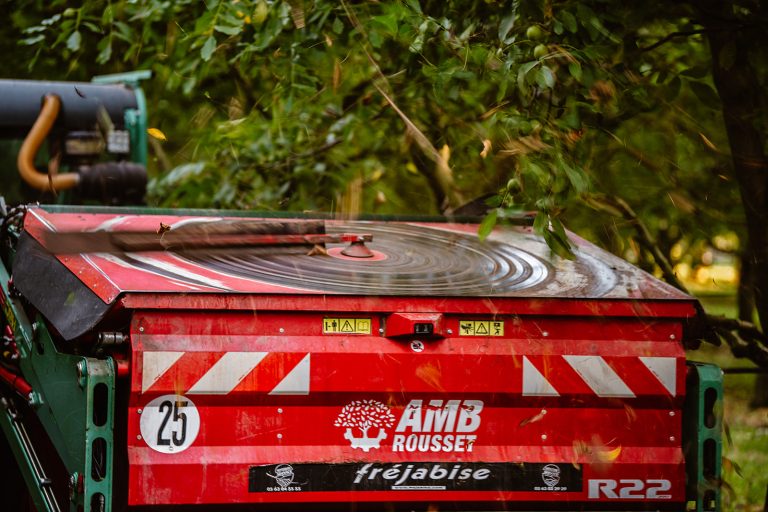 Castaneas au travail