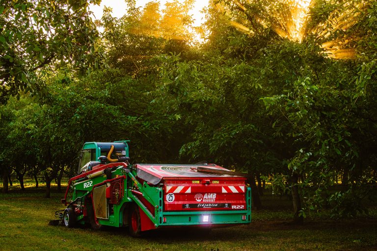 Castaneas au travail